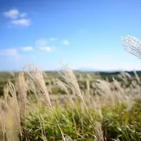 大観峰の写真・動画_image_48131