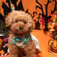Andy Cafeの写真・動画_image_48159