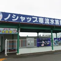 ノシャップ岬の写真・動画_image_4819