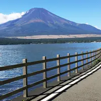 山中湖一周遊覧『白鳥の湖』の写真・動画_image_48292