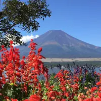 山中湖一周遊覧『白鳥の湖』の写真・動画_image_48293