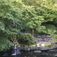 長谷寺の写真・動画_image_48446