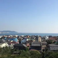 長谷寺の写真・動画_image_48450