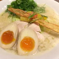 【移転】篝の写真・動画_image_48567