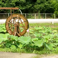 美里町の写真・動画_image_4882