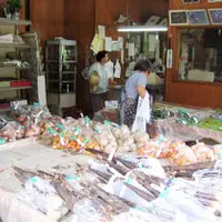 円良田湖の写真・動画_image_4883