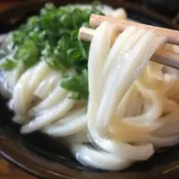 手打十段うどん バカ一代の写真・動画_image_4891