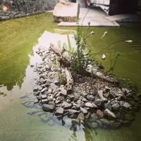 東京都現代美術館の写真・動画_image_4908