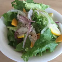 tutto piattoの写真・動画_image_49103