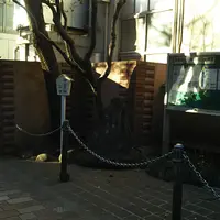 中央区立泰明小学校の写真・動画_image_491577