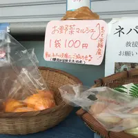 津名港ターミナルの写真・動画_image_49162