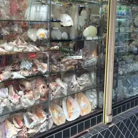 江の島の写真・動画_image_49206
