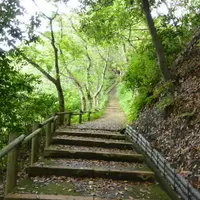 史跡金ヶ崎城跡の写真・動画_image_4931