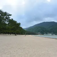 気比の松原の写真・動画_image_4934