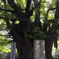 善福寺の写真・動画_image_49350