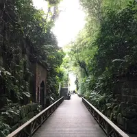 猿島の写真・動画_image_49395