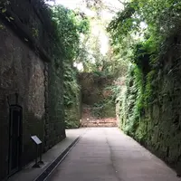 猿島の写真・動画_image_49399