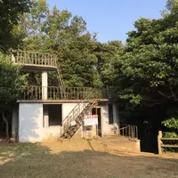 猿島の写真・動画_image_49400