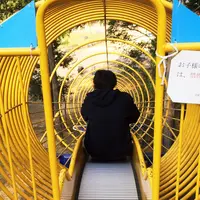 丹波並木道中央公園の写真・動画_image_49428