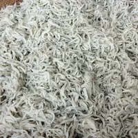 海の家カッパ天国の写真・動画_image_49433