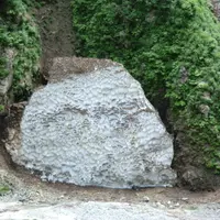 東鐘釣山の写真・動画_image_4944