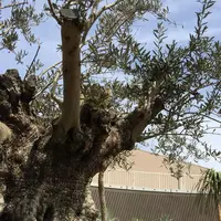 神戸国際会館の写真・動画_image_49463