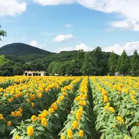 世羅高原農場の写真・動画_image_49471