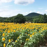 世羅高原農場の写真・動画_image_49473