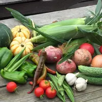 Neighbor Foodの写真・動画_image_49497