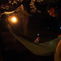FBI DAISENの写真・動画_image_49648