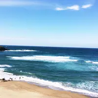 白兎神社の写真・動画_image_49649