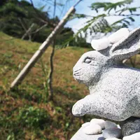 白兎神社の写真・動画_image_49653