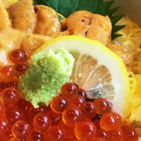 白兎神社の写真・動画_image_49658