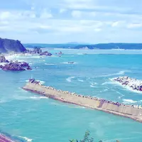 小袖海女センターの写真・動画_image_49916