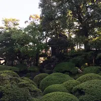 旧野﨑家住宅の写真・動画_image_49967