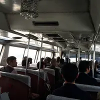 遊覧船はつひ丸の写真・動画_image_49978