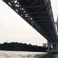 遊覧船はつひ丸の写真・動画_image_49979