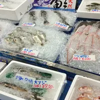 ふゅーちぁーの写真・動画_image_49993