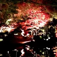 武庫川女子大学甲子園会館（旧甲子園ホテル）の写真・動画_image_50148