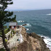 桂浜の写真・動画_image_5020