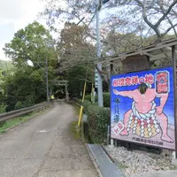 相撲神社の写真・動画_image_502595