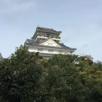 岐阜城の写真・動画_image_50269