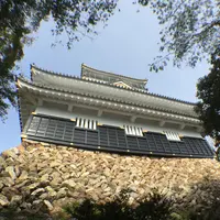 岐阜城の写真・動画_image_50270