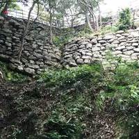 岐阜城の写真・動画_image_50273