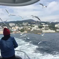 初島の写真・動画_image_50310