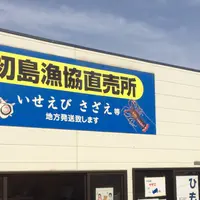 初島の写真・動画_image_50313