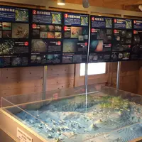初島の写真・動画_image_50316