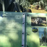 初島の写真・動画_image_50319