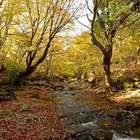 マゼノ渓谷の写真・動画_image_50330