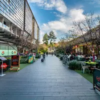 Central Park Mallの写真・動画_image_505634